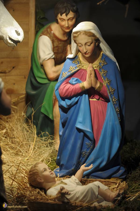 Nom de l'image : D30043147_1_(c)Norbert-JUNG — Description :